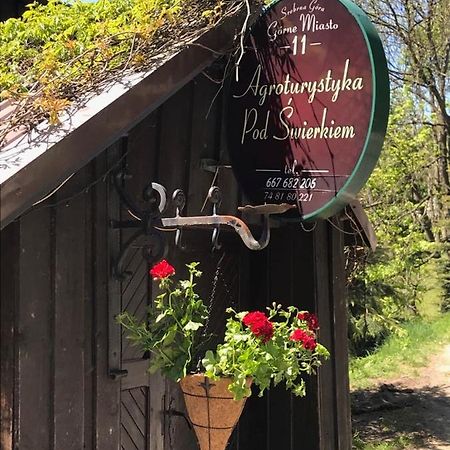 Agroturystyka Pod Swierkiem Srebrna Gora ภายนอก รูปภาพ